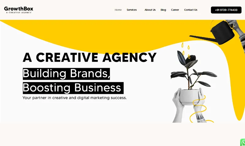 The Growth Box website
